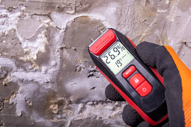 Best Water Damage Restoration  in Orangevale, CA