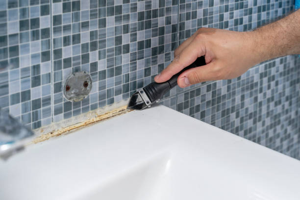 Best Mold Damage Repair  in Orangevale, CA