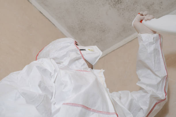 Best Attic Mold Removal  in Orangevale, CA