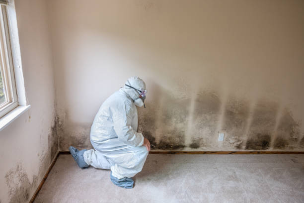 Best Crawl Space Mold Removal  in Orangevale, CA