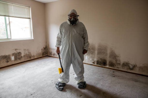 Best Local Mold Removal Service  in Orangevale, CA