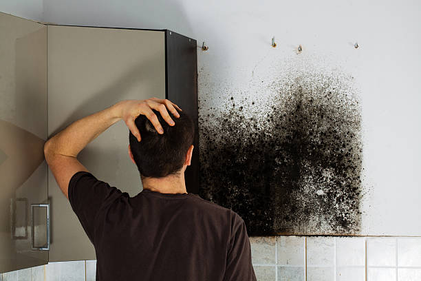 Best Residential Mold Removal  in Orangevale, CA